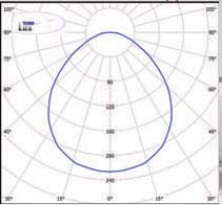  ������ ���� �����